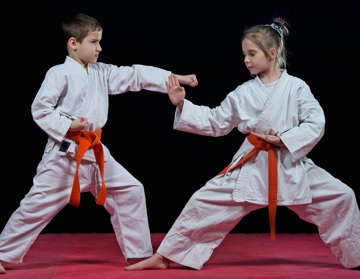 Kids Martial Arts Karate