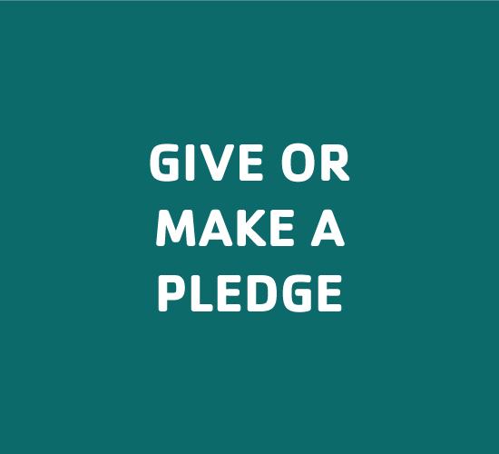 green box give or make a pledge
